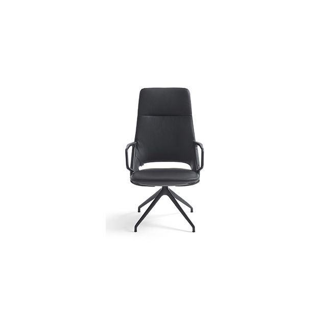 Artifort Zuma Swivel Star Base High Back Lounge Chair